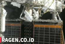 batch 1774376822 article 2 watermarked