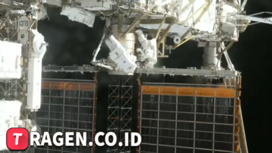 batch 1774376822 article 2 watermarked