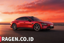 batch 1774376822 article 8 watermarked