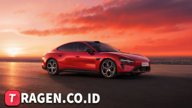 batch 1774376822 article 8 watermarked