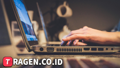 batch 1774426213 article 17 watermarked