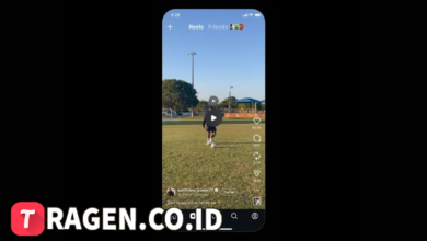 batch 1774426213 article 21 watermarked