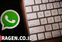 batch 1774426213 article 35 watermarked