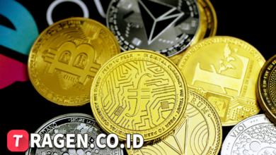 batch 1774426213 article 40 watermarked