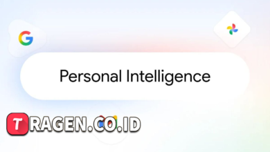 batch 1774426213 article 41 watermarked