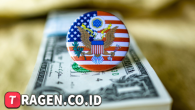 batch 1774426213 article 43 watermarked