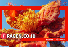 batch 1774426213 article 50 watermarked