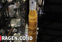 batch 1774426213 article 68 watermarked