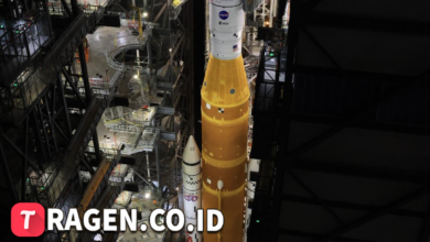 batch 1774426213 article 68 watermarked