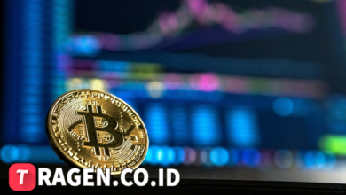 batch 1774426213 article 70 watermarked