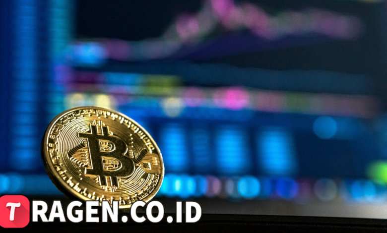 batch 1774426213 article 70 watermarked