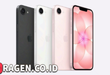 batch 1774595318 article 113 watermarked