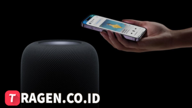 batch 1774595318 article 114 watermarked