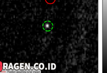 batch 1774595318 article 115 watermarked