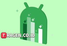 batch 1774595318 article 127 watermarked