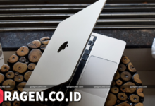 batch 1774595318 article 136 watermarked