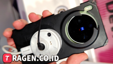 batch 1774595318 article 141 watermarked