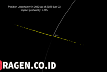 batch 1774595318 article 149 watermarked