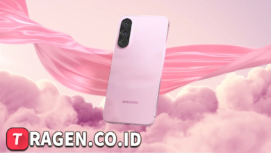 batch 1774595318 article 16 watermarked