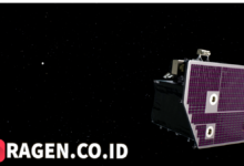 batch 1774595318 article 183 watermarked