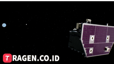 batch 1774595318 article 192 watermarked