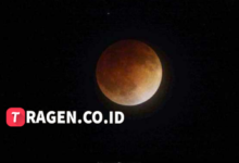 batch 1774595318 article 207 watermarked