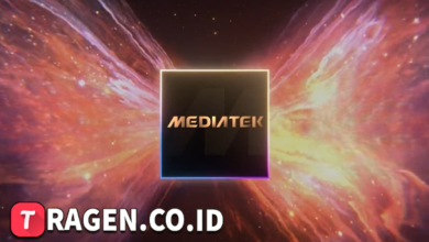 batch 1774595318 article 211 watermarked