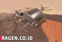 batch 1774595318 article 21 watermarked