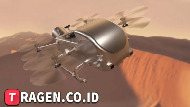 batch 1774595318 article 21 watermarked