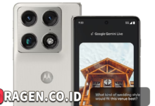 batch 1774595318 article 221 watermarked