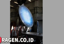 batch 1774595318 article 223 watermarked