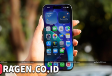 batch 1774595318 article 225 watermarked