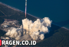 batch 1774595318 article 226 watermarked