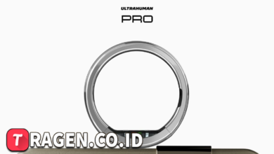 batch 1774595318 article 233 watermarked