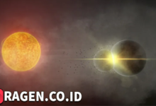 batch 1774595318 article 24 watermarked