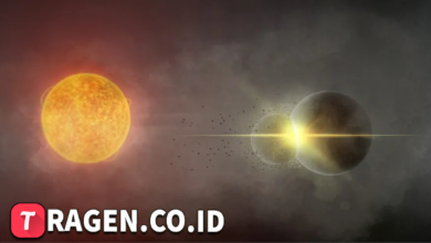 batch 1774595318 article 24 watermarked