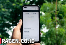 batch 1774595318 article 25 watermarked