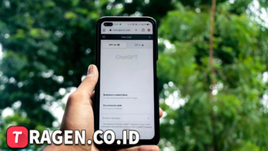 batch 1774595318 article 25 watermarked