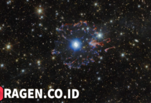 batch 1774595318 article 26 watermarked