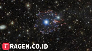 batch 1774595318 article 26 watermarked