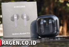 batch 1774595318 article 31 watermarked