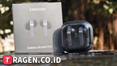 batch 1774595318 article 31 watermarked