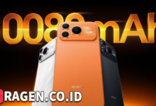 batch 1774595318 article 42 watermarked