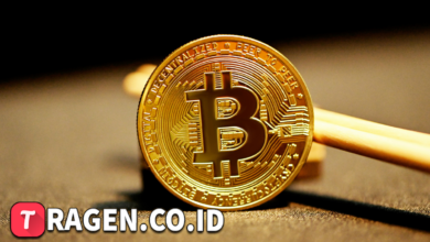 batch 1774595318 article 44 watermarked