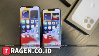 batch 1774595318 article 62 watermarked