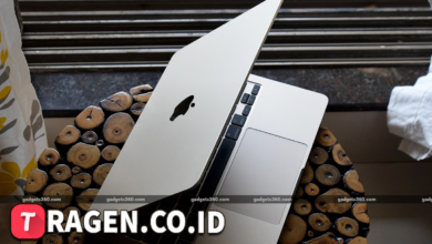 batch 1774595318 article 69 watermarked