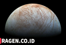 batch 1774595318 article 73 watermarked