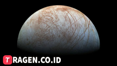 batch 1774595318 article 73 watermarked