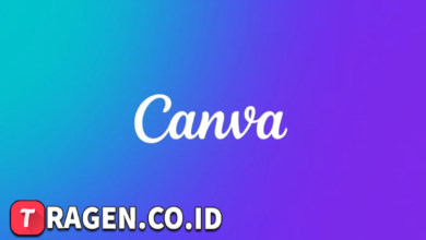 batch 1774595318 article 79 watermarked