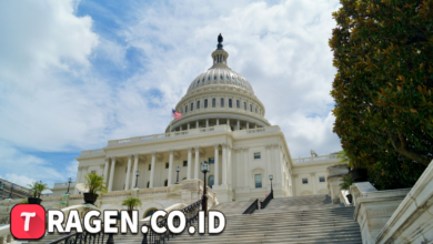 batch 1774595318 article 7 watermarked